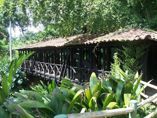 国立咖啡公园-Montenegro必去景点