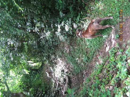 Loterie Farm-Rambaud必去景点