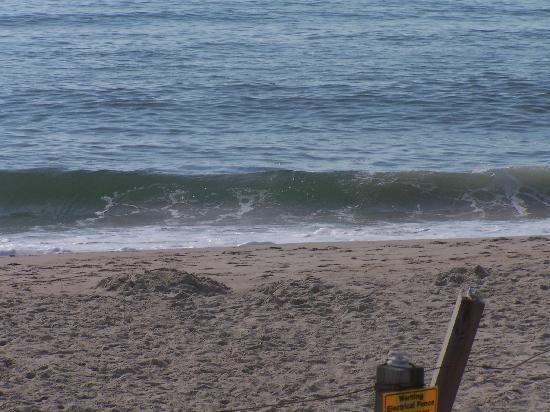 Assateague Island National Seashore-Assateague Island必去景点