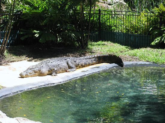 可伦宾野生动物园-可伦宾必去景点