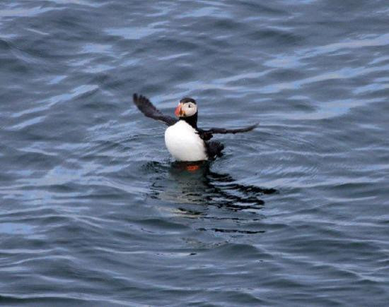 F-Stop Tours-哈夫纳夫约杜尔必去景点
