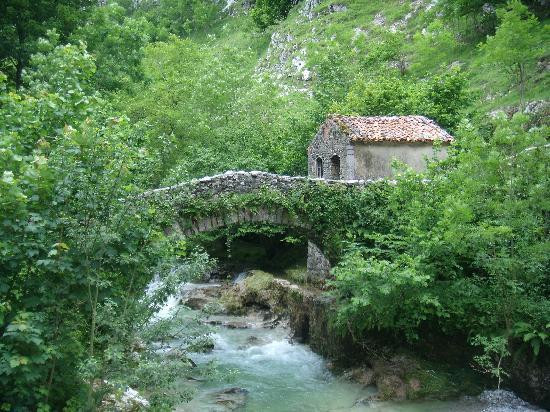 Picos de Europa景点图片