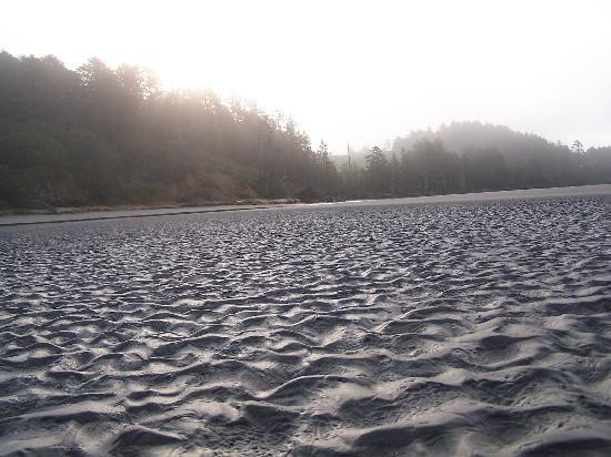 Moclips River景点图片