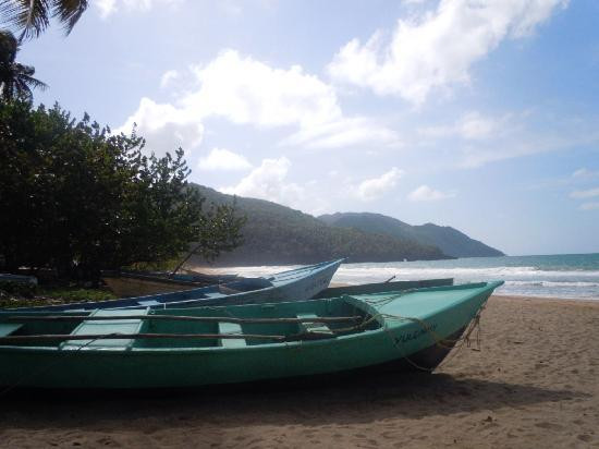 Samana Zip Line-El Valle必去景点