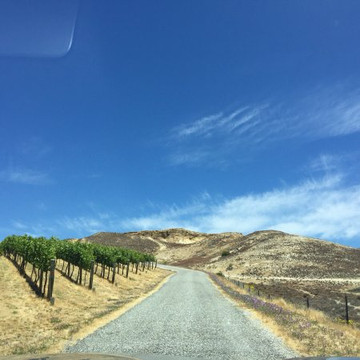 Gate 20 Two Vineyard-克伦威尔镇必去景点