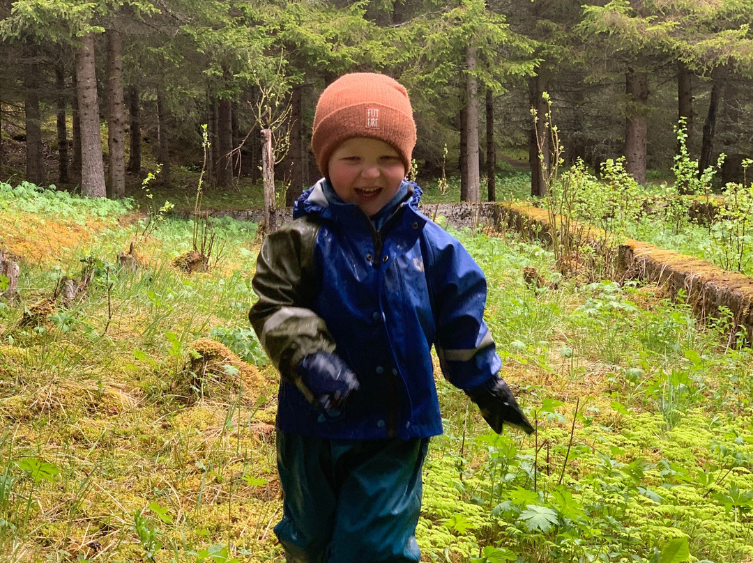 Krigsminner Evenestangen-Evenes必去景点