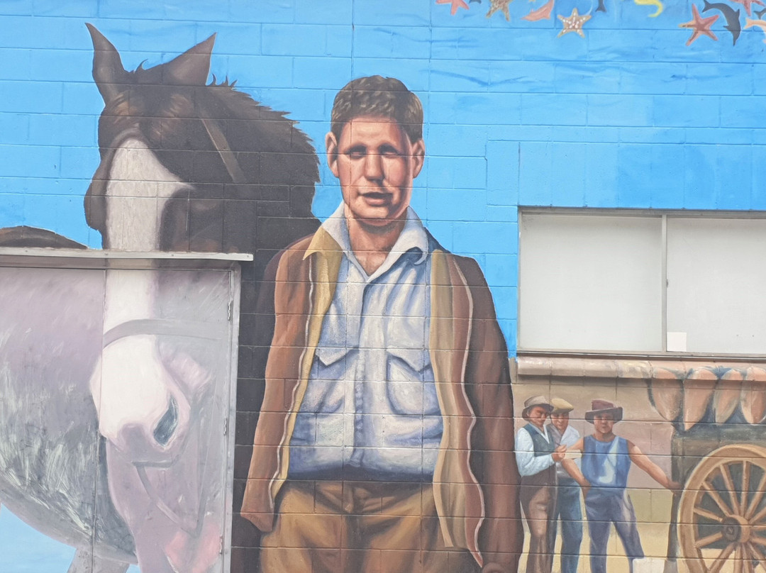 Elliston Community Visitor Information Centre-Elliston必去景点