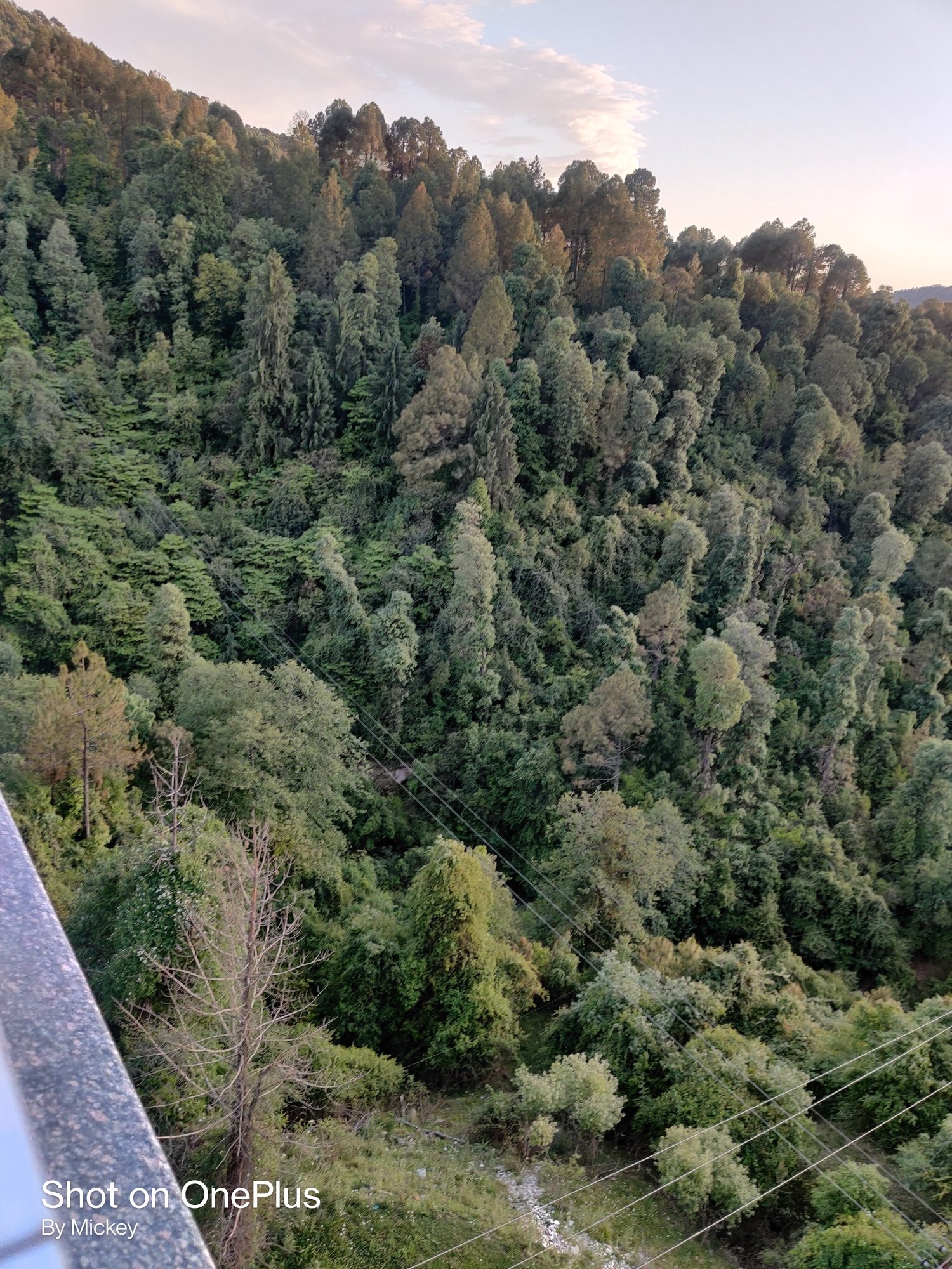 Hotel Nature Valley-酒店景观