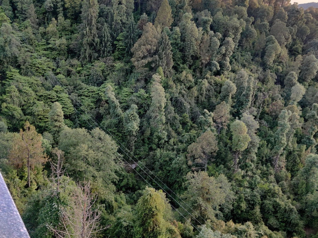 Hotel Nature Valley主图