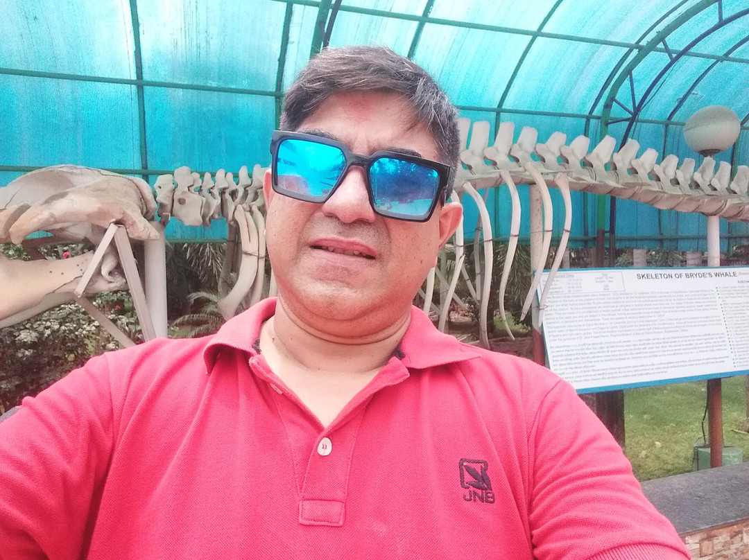 Marine Aquarium景点图片