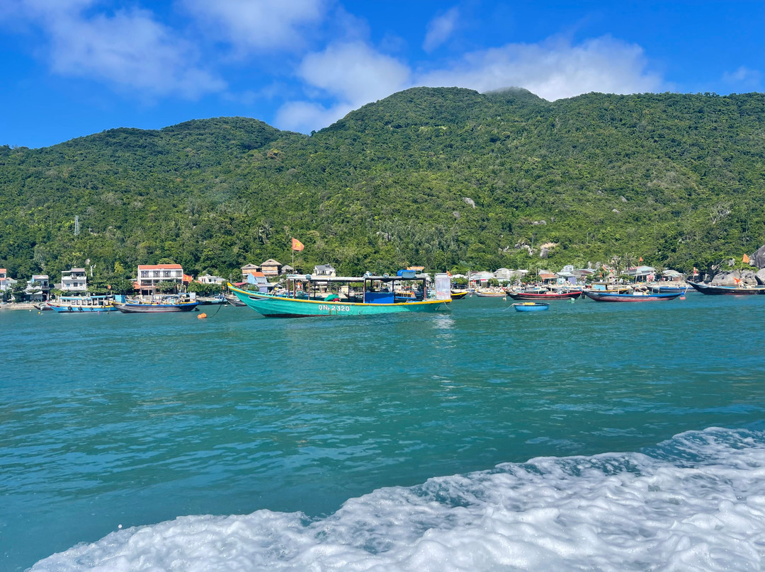 Cham Island Diving景点图片