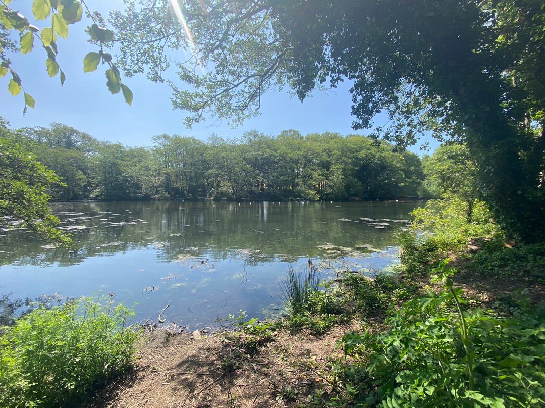 Tehidy Country Park-Camborne必去景点