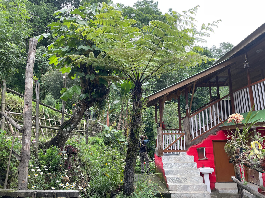 Nu Zong Lee Homestay