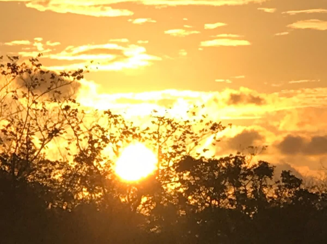 Kenya Classic Tour Travel