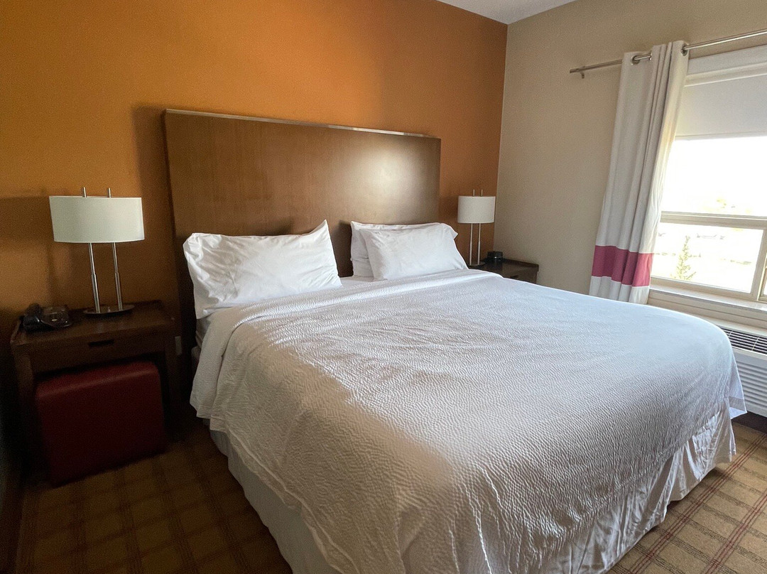 Four Points by Sheraton Edmonton Gateway主图