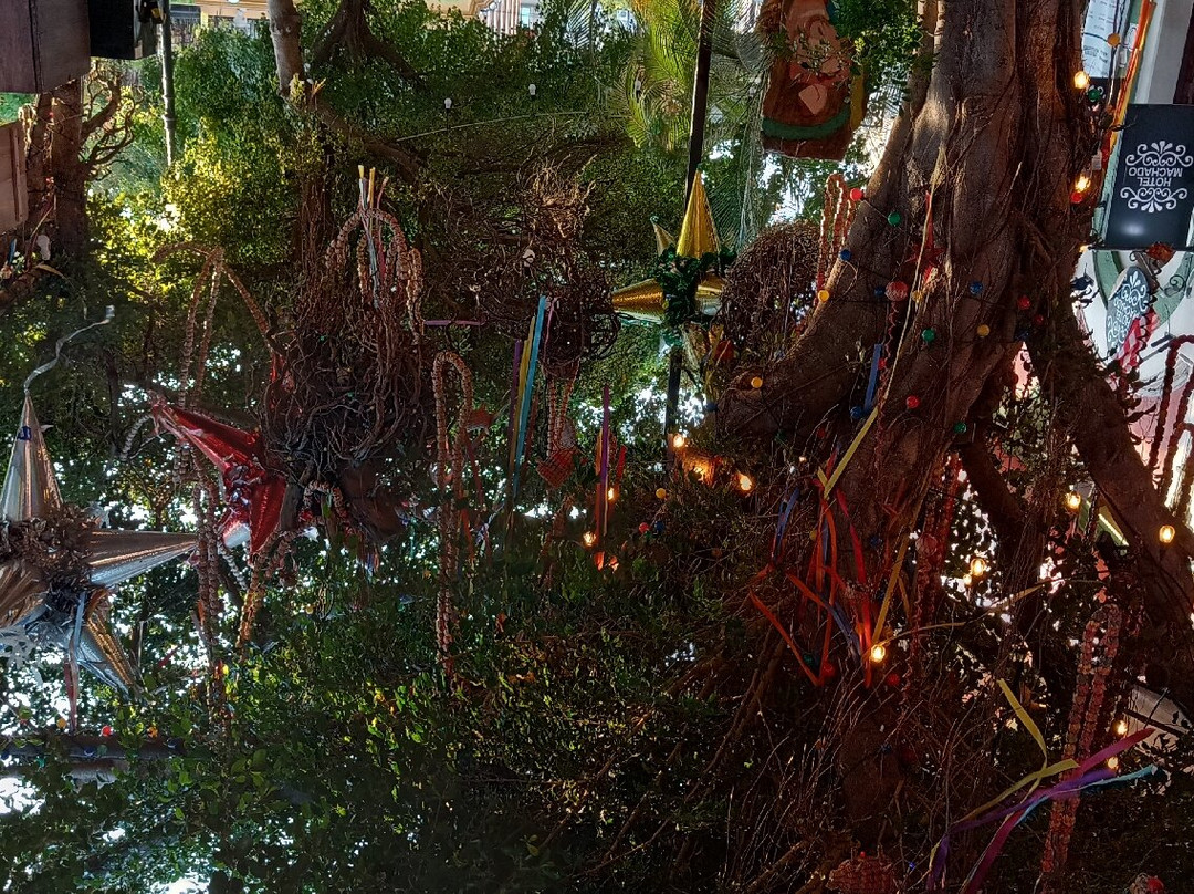 Hotel Raices de Mar主图