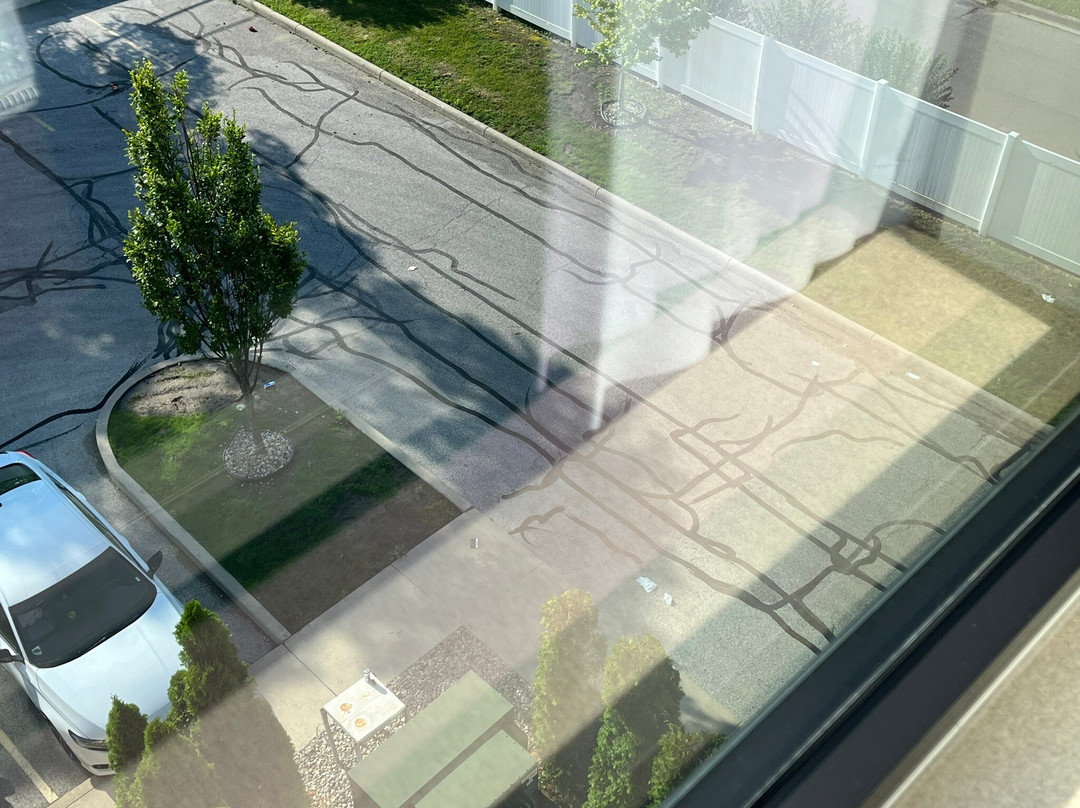 Hampton Inn & Suites Toledo/Westgate主图