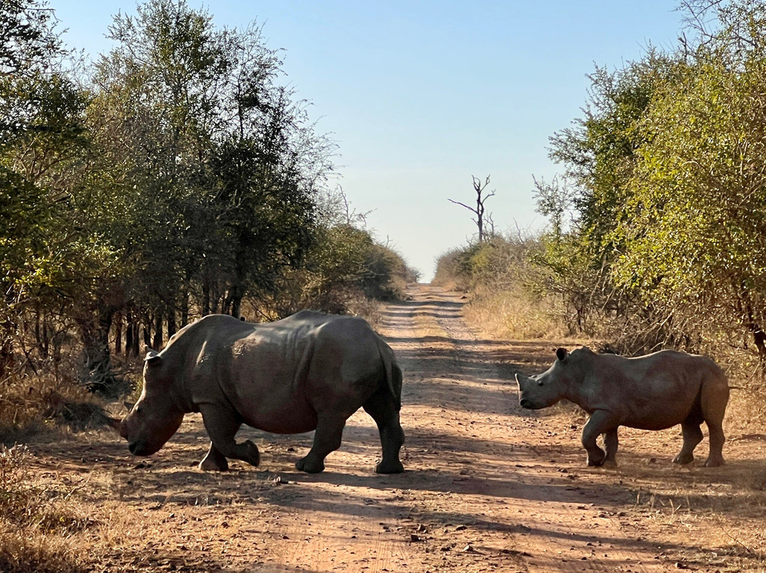 Big Six Tour Safaris-约翰内斯堡必去景点