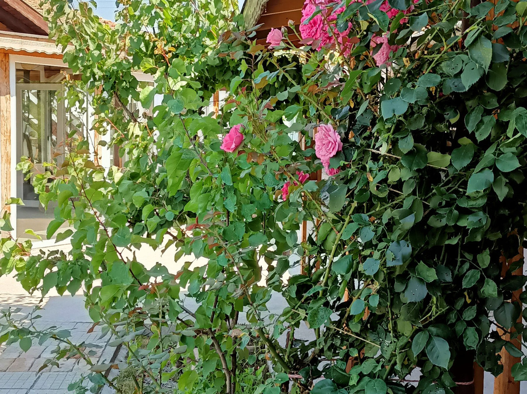 Guest House Bulgarka