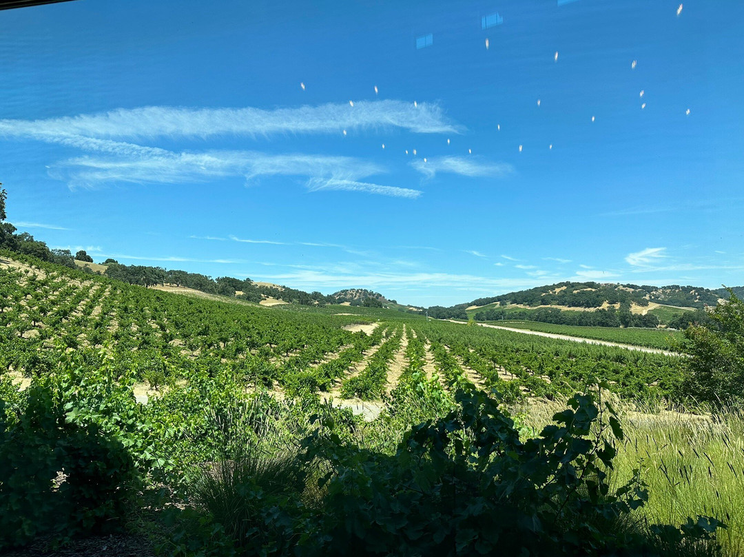 Halter Ranch Vineyard景点图片