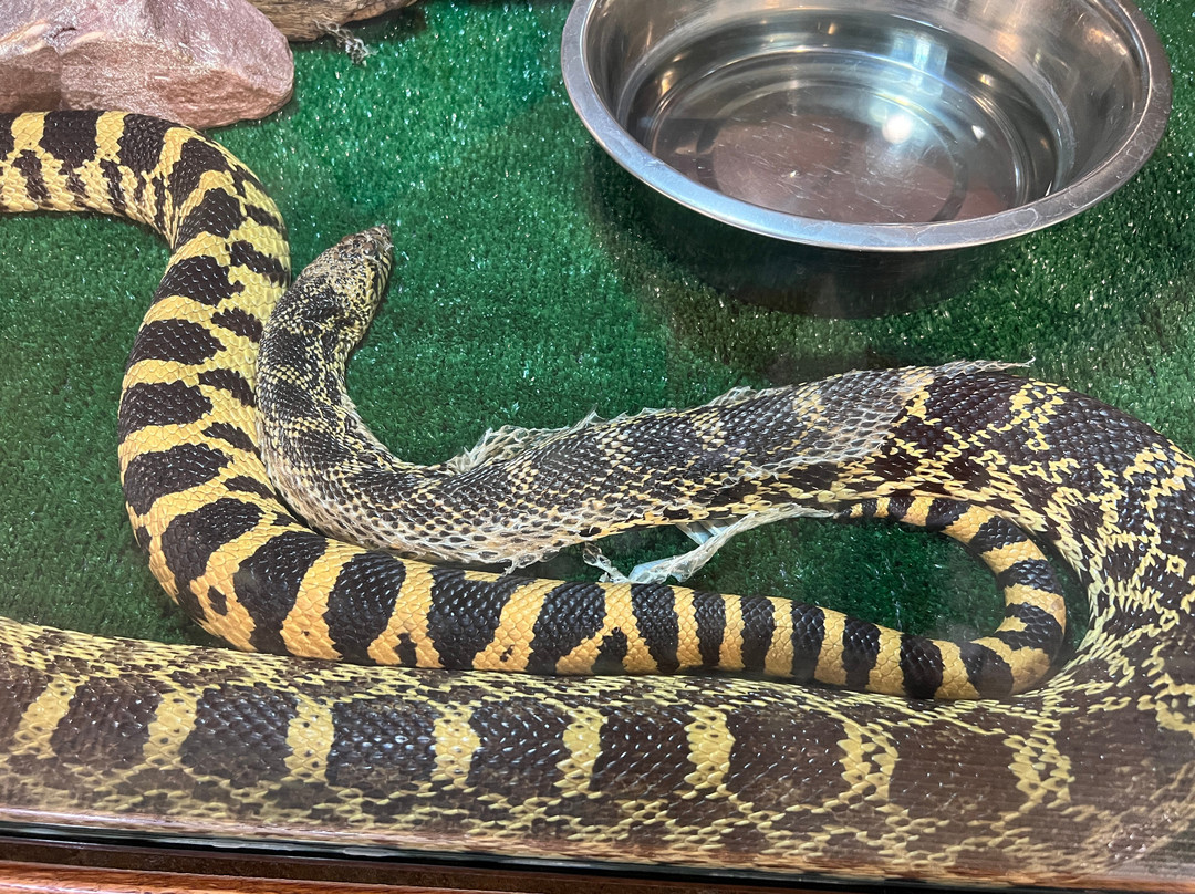 Pioneer Park Nature Center-林肯必去景点