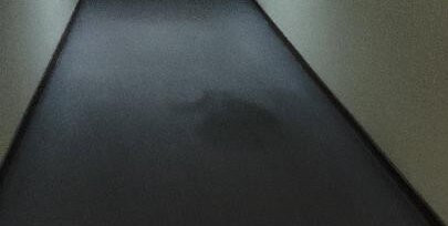 Dan Inn Sorocaba主图