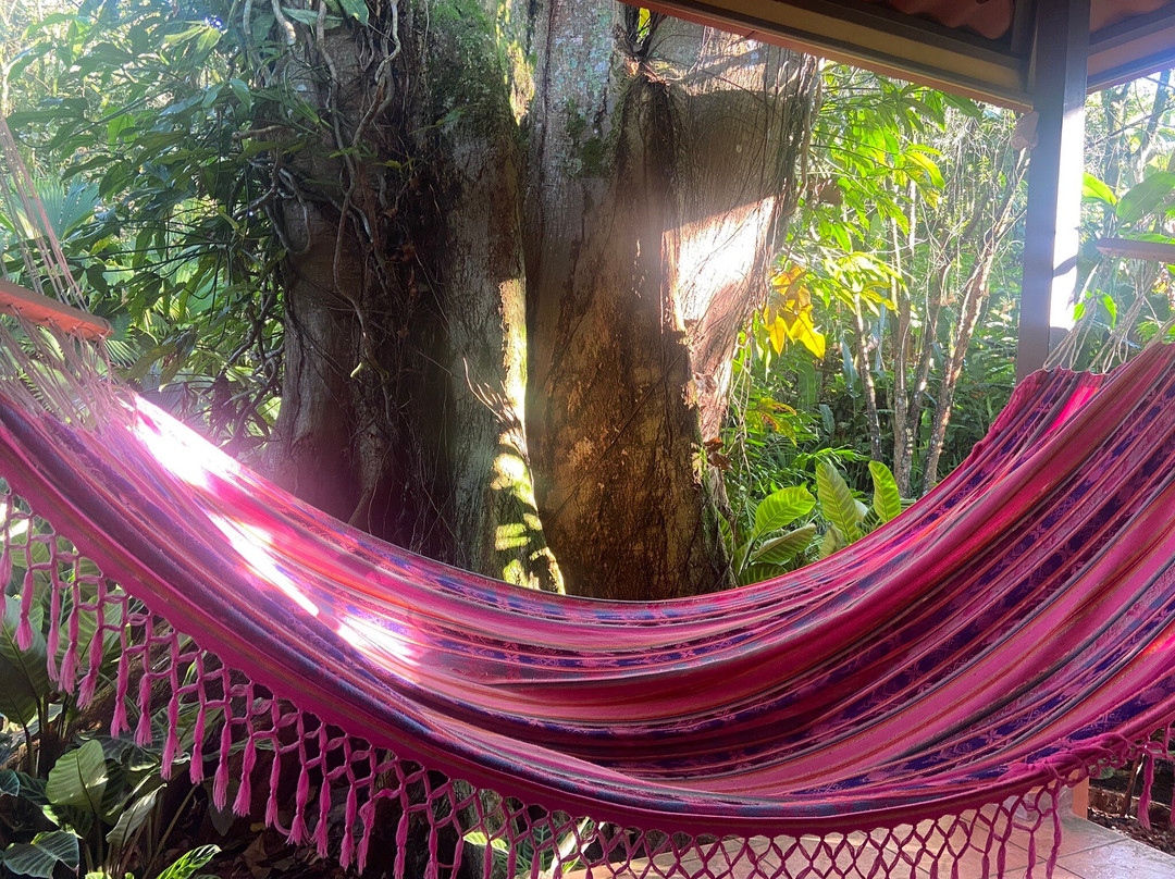 Tacacori Ecolodge主图