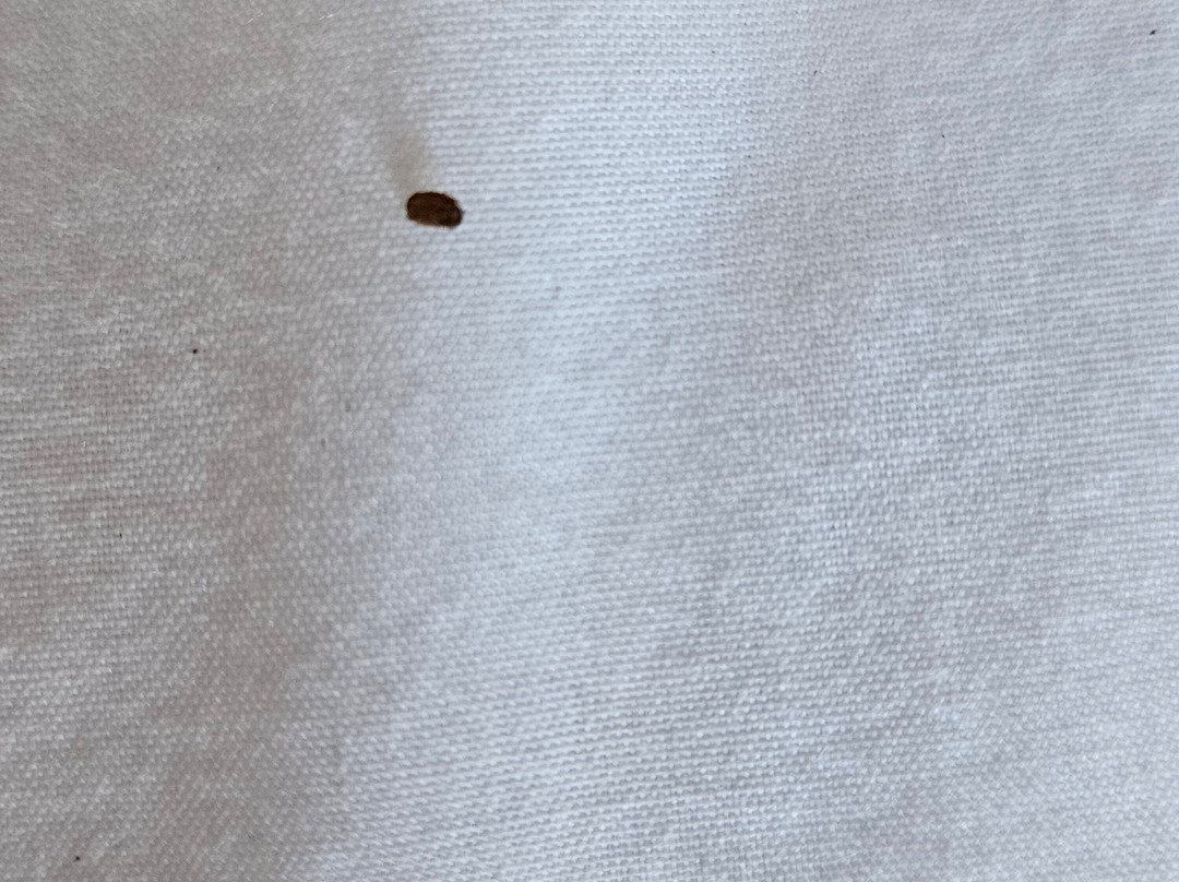 Fairfield by Marriott Inn & Suites St. Joseph Stevensville主图