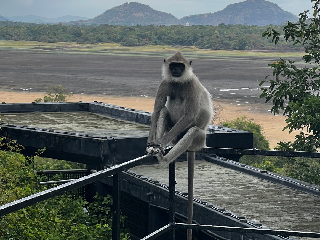 Heritance Kandalama Spa-丹布拉必去景点