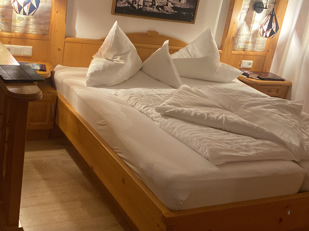 Aktiv Panoramahotel Daniel主图