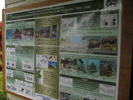 Waitabu Marine Park-塔韦乌尼岛必去景点