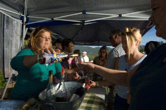 Wine Trail of Botetourt-Fincastle必去景点