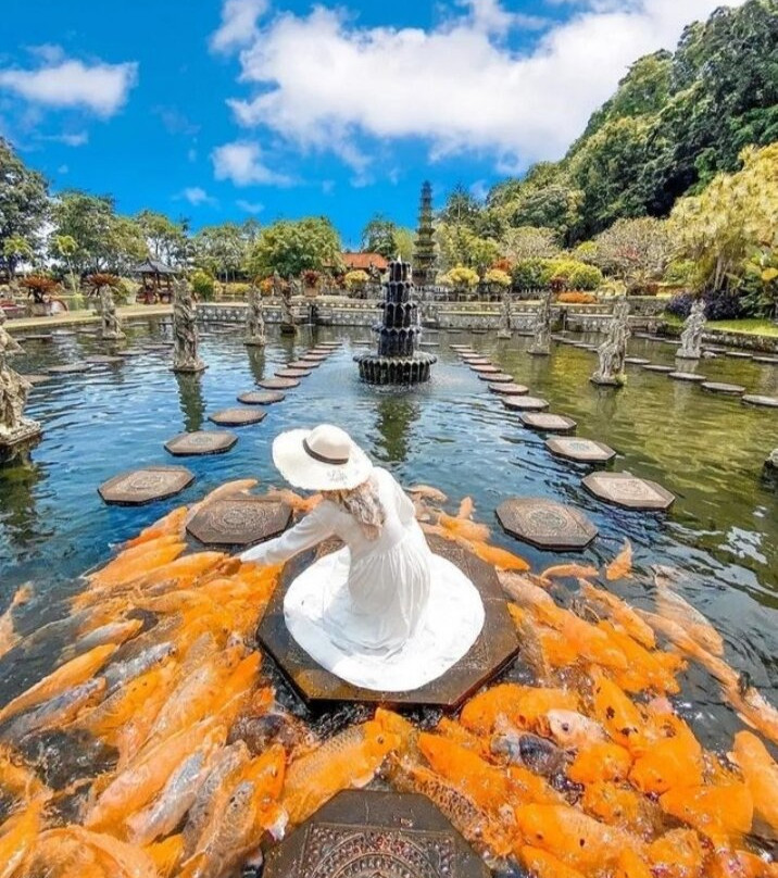 Private Tour Bali-乌布必去景点
