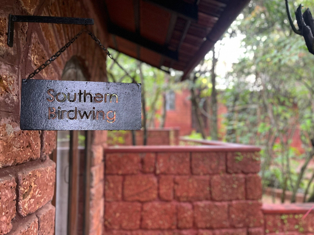 Whistling Woods Amboli主图