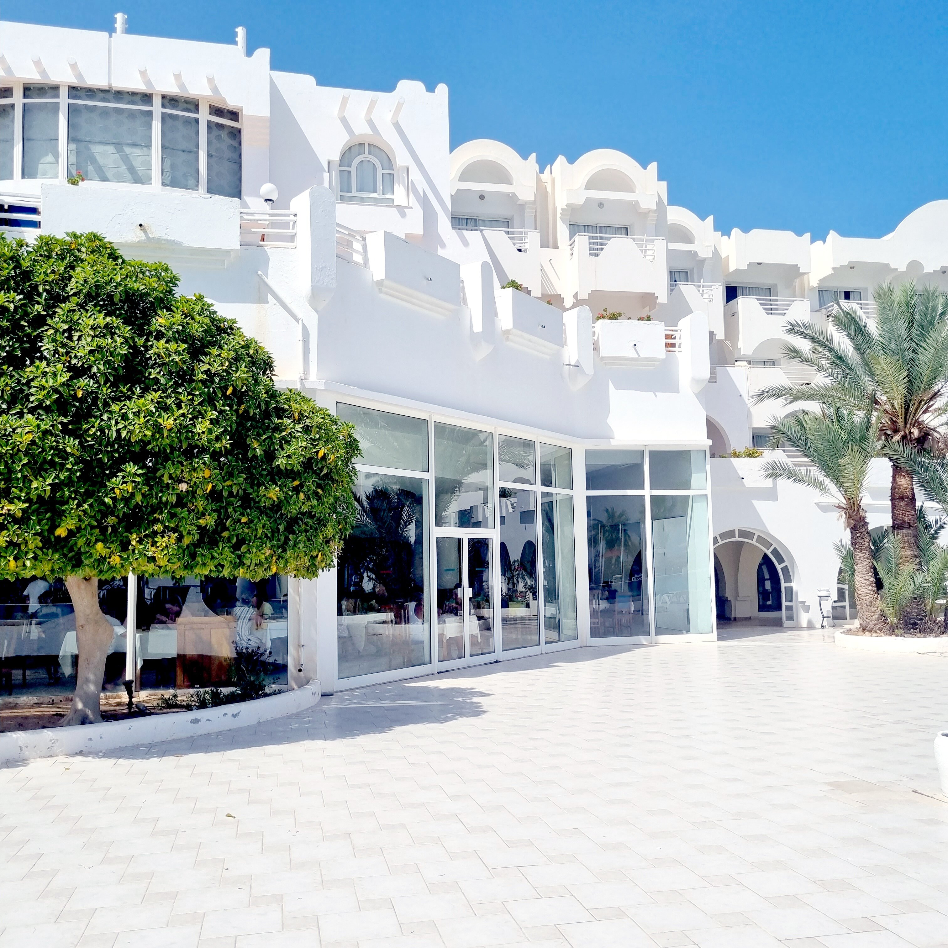 Hotel Bravo Djerba-泳池