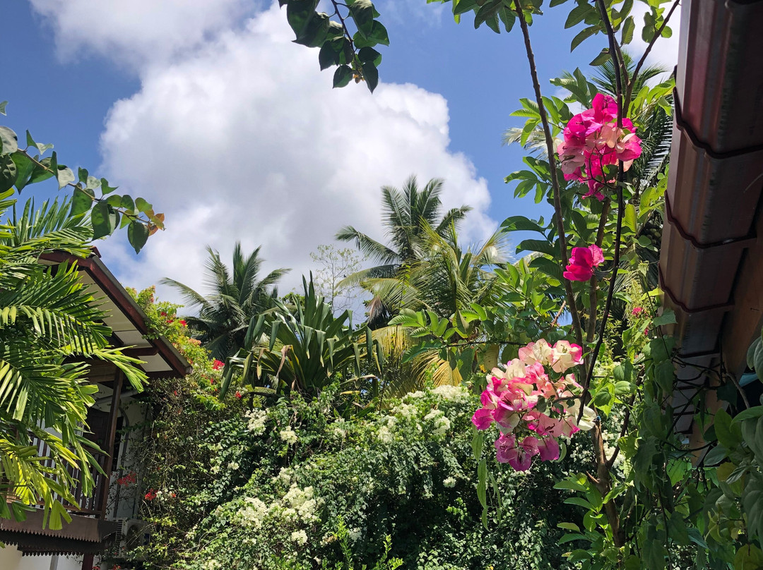 Royal Lotus Villa主图