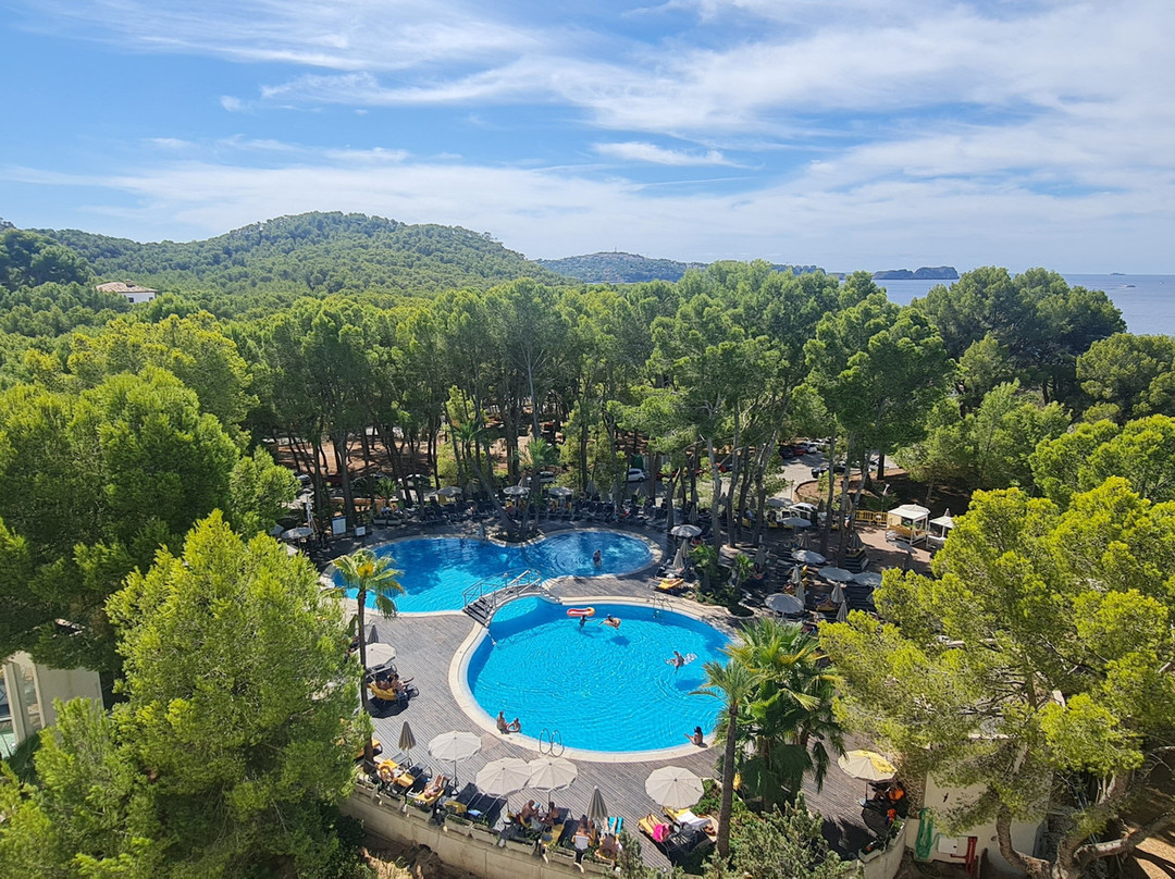 allsun Hotel Bella Paguera主图