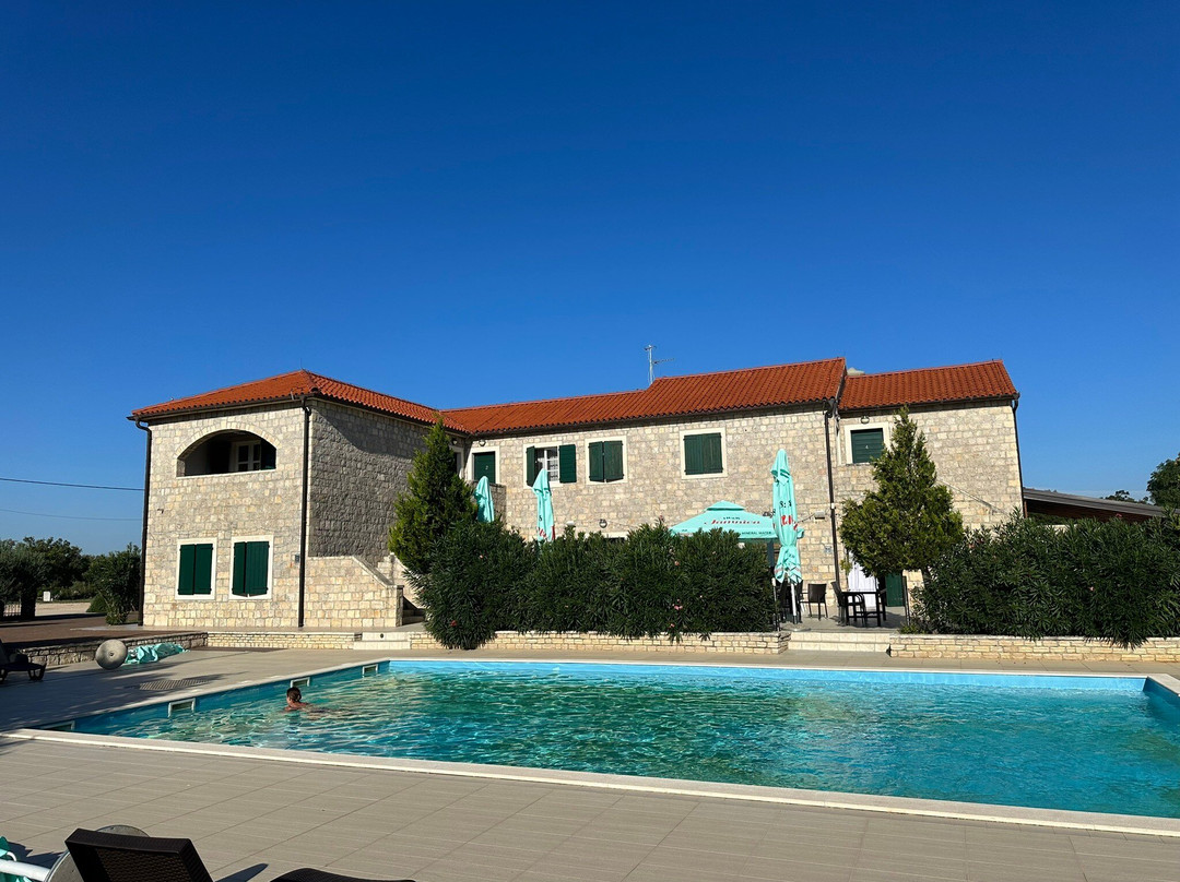 Pansion Skelin主图