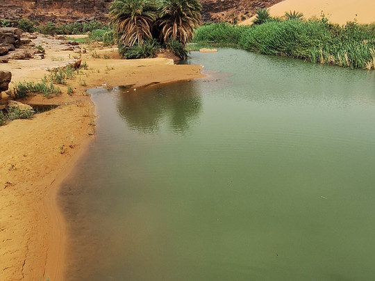 Mauritania Getaway-诺克少必去景点