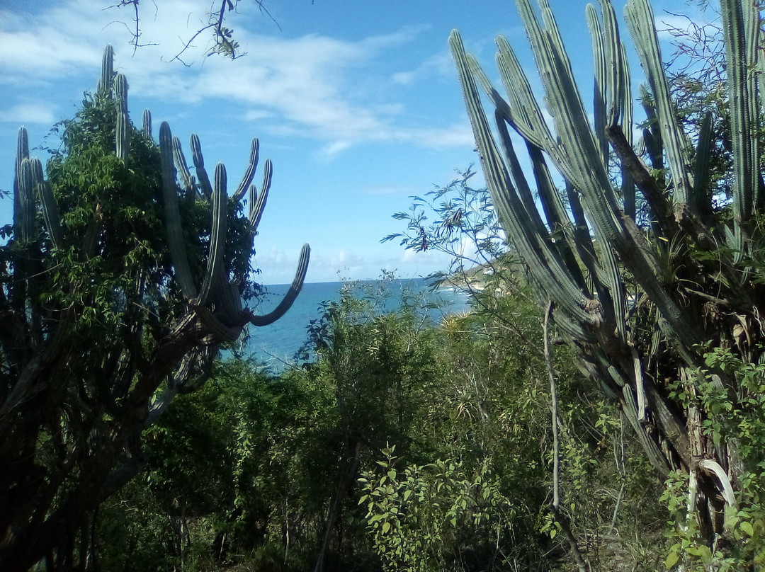 L’Esperance Trail-维尔京群岛国家公园必去景点