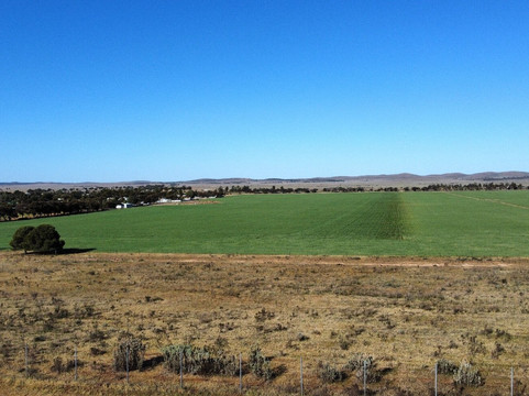 Peterborough Caravan Park主图