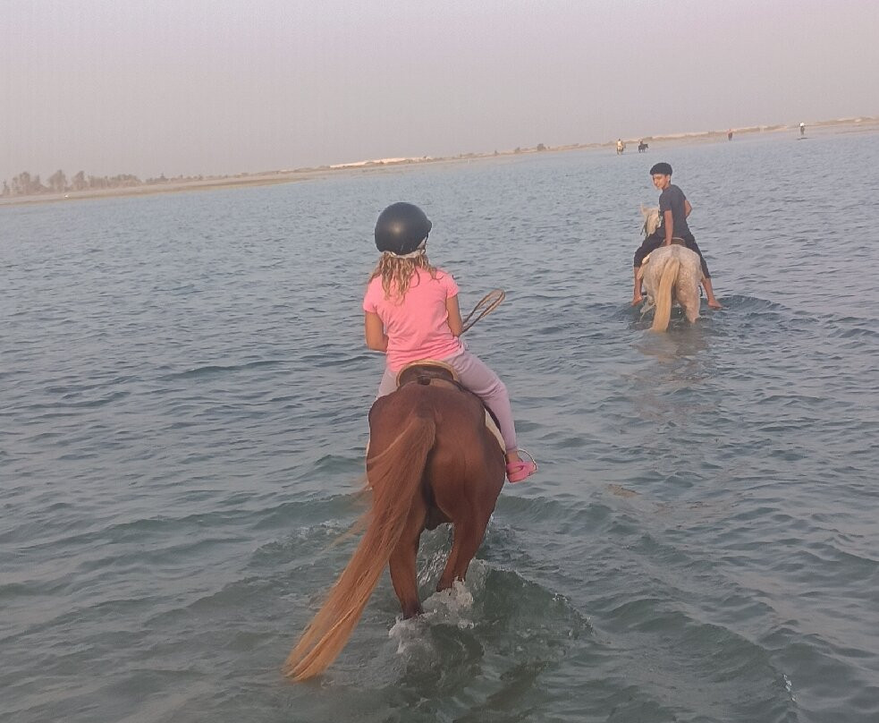 Ranch Yassmina Djerba La Douce景点图片