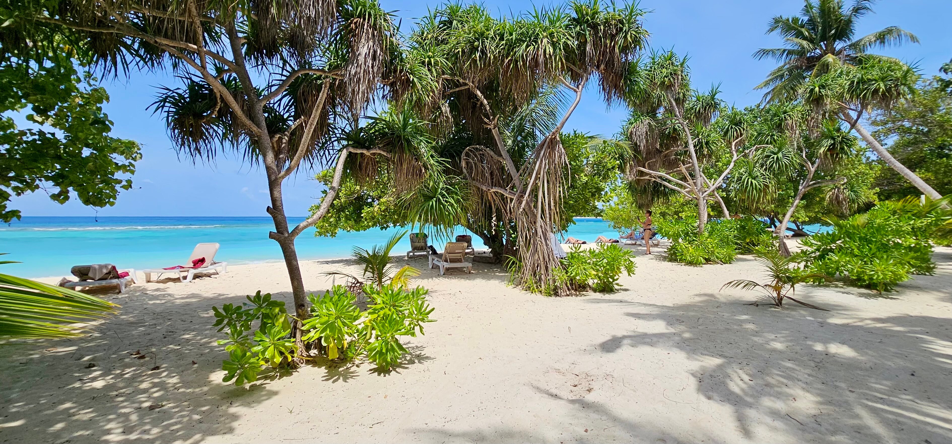 Beach Cottage-泳池