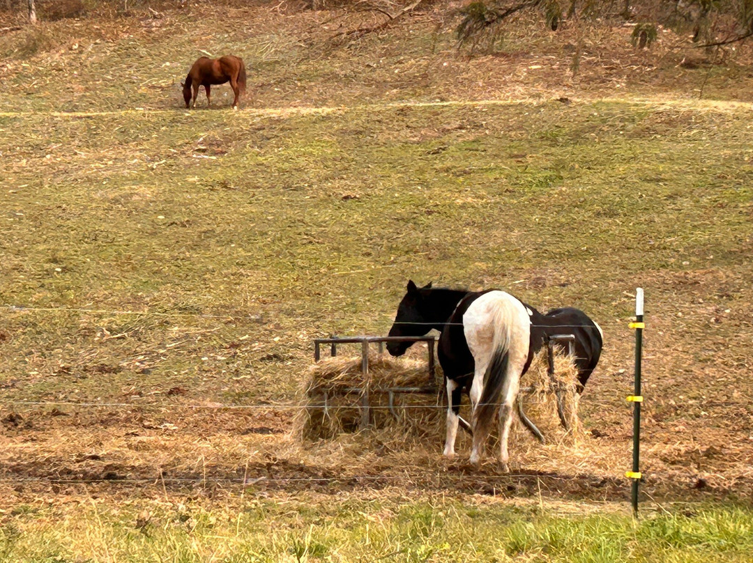 Fletcher Creek Covered Bridge-Clarksburg必去景点