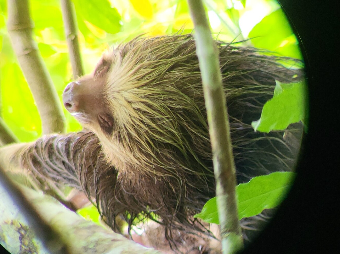 AyE Tours Travel Costa Rica-圣何塞必去景点