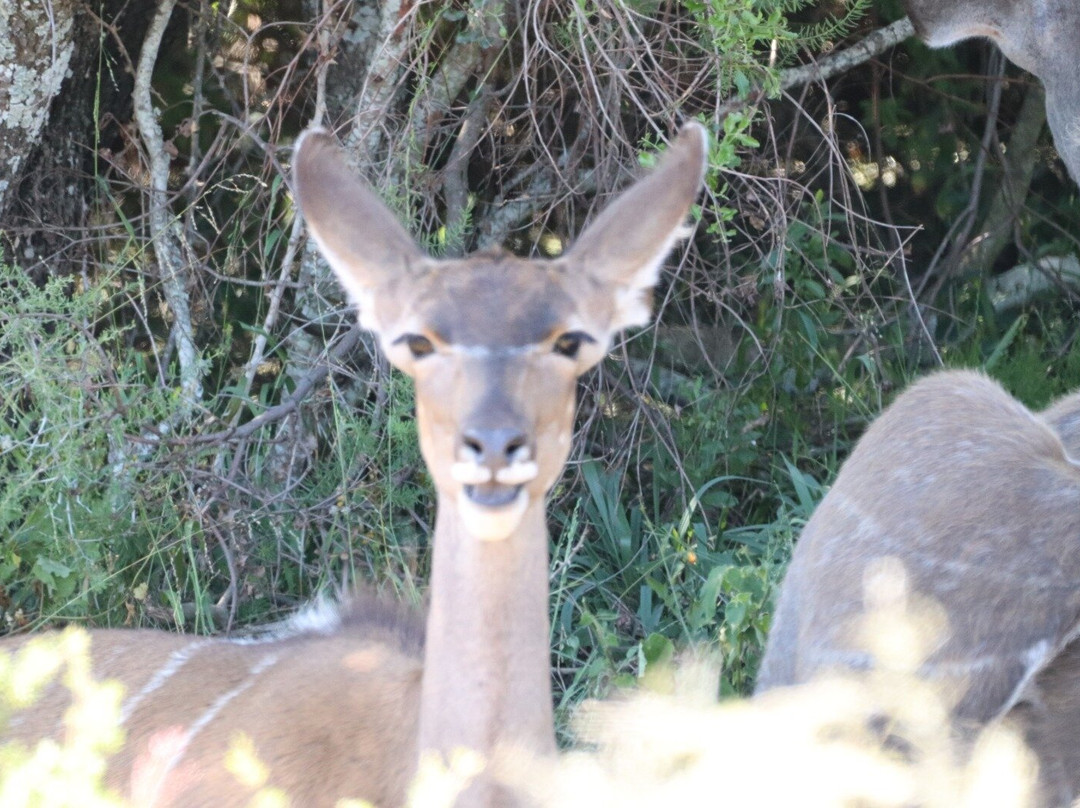 Zasendle Adventures-阿多必去景点
