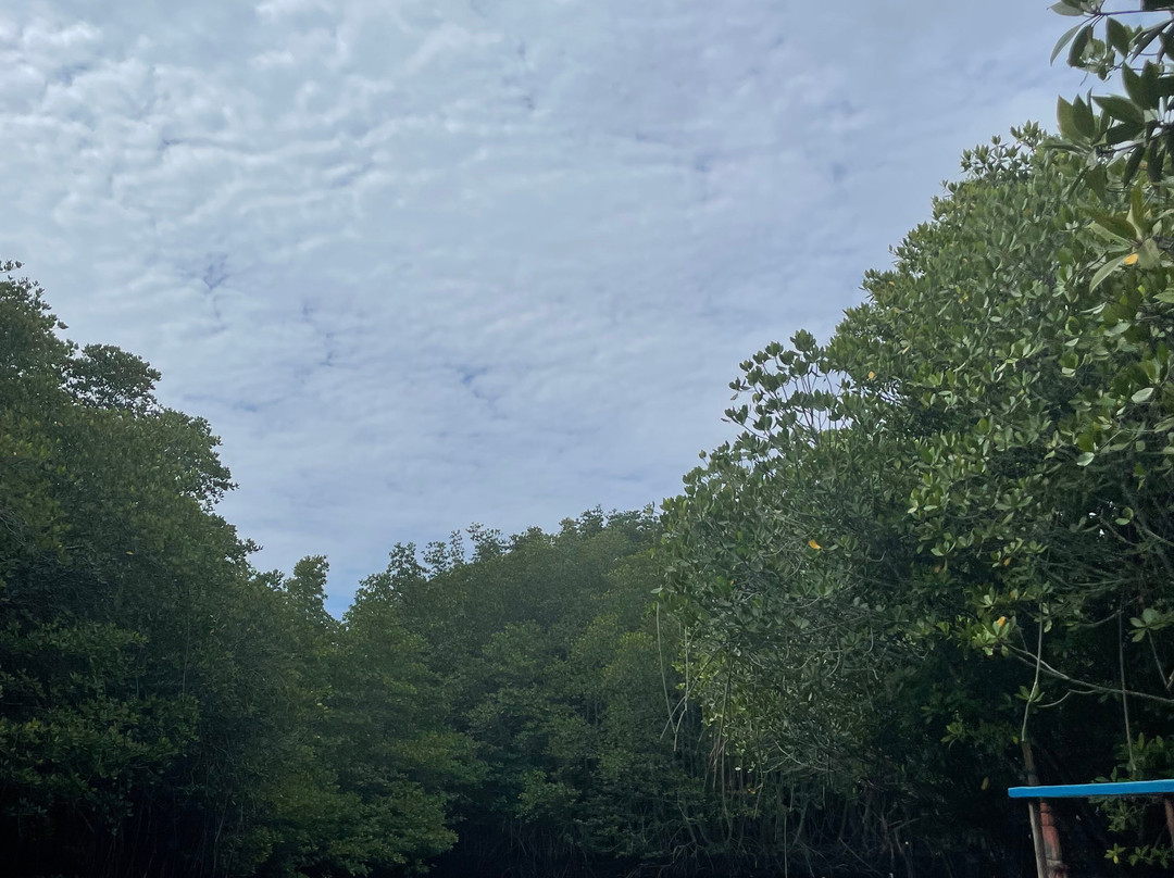 Loka Bali Tour-图班必去景点