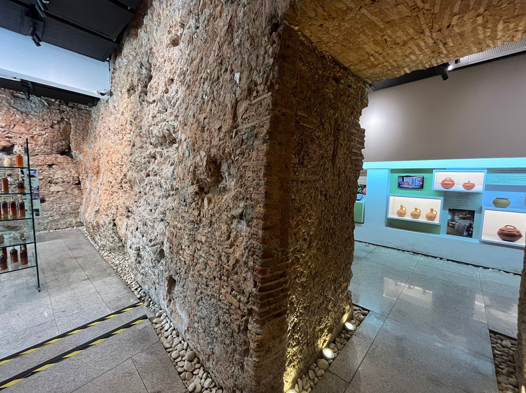 Museu da Gastronomia Baiana-萨尔瓦多必去景点