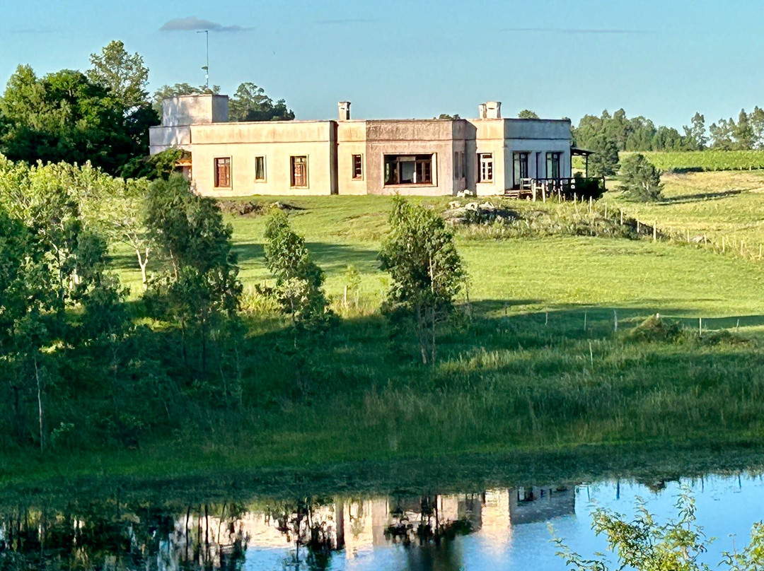 Bodega Cerro Chapeu-Rivera必去景点