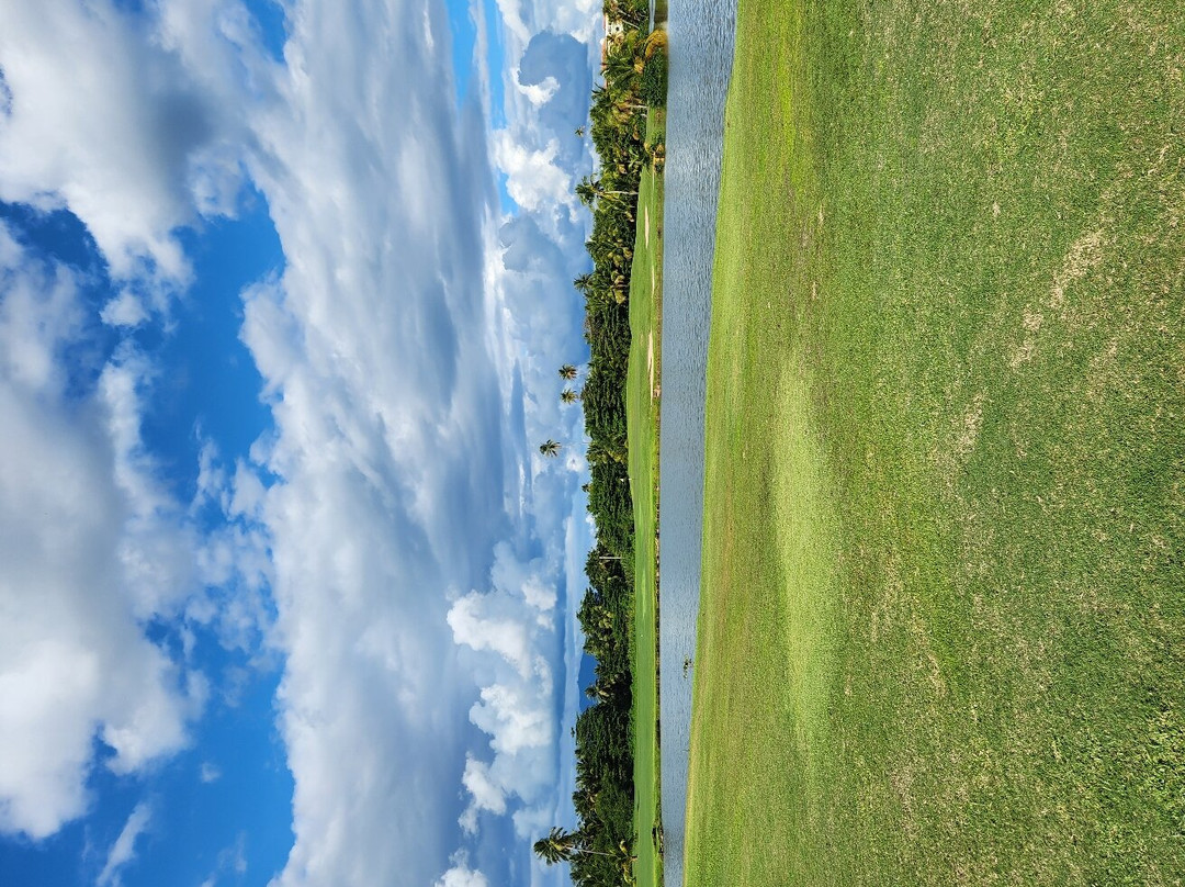 Palmas Del Mar Golf Club景点图片